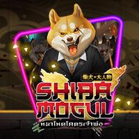 Shiba Mogul